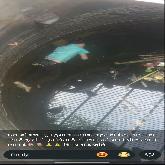 DOC1790178130440.5.jpg
